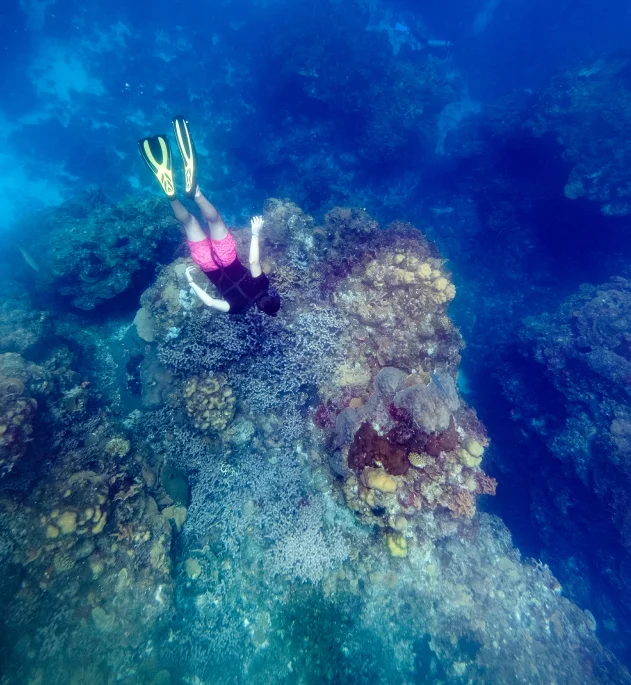 The Thrill of Drift Diving at Batu Bolong's Marine Paradise